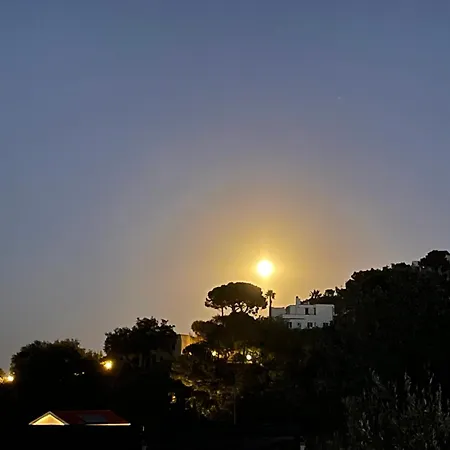 Nel Blu Voze